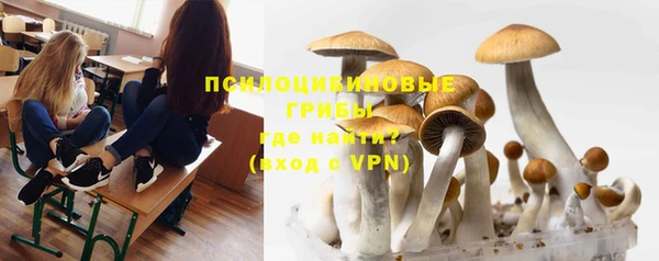 синтетический гашиш Заволжье