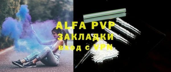 PSILOCYBIN Заводоуковск
