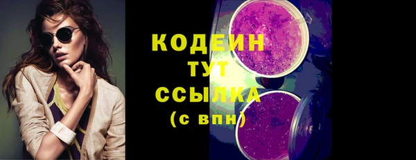 PSILOCYBIN Заводоуковск