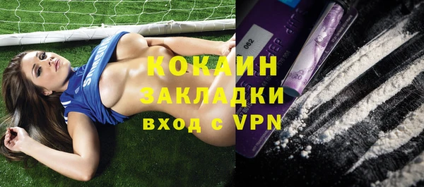 PSILOCYBIN Заводоуковск